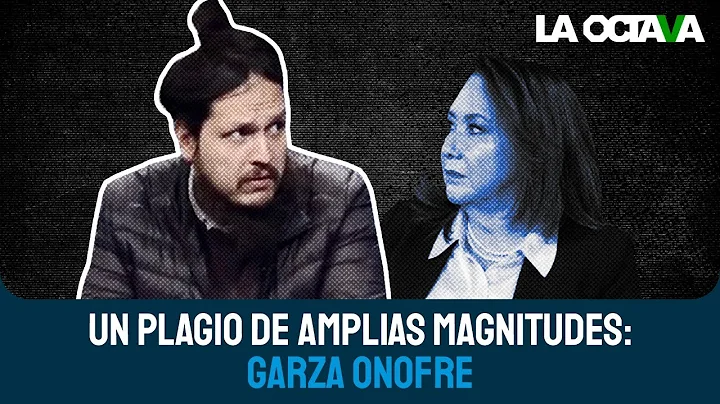 UN PLAGIO DE AMPLIAS MAGNITUDES: Garza Onofre