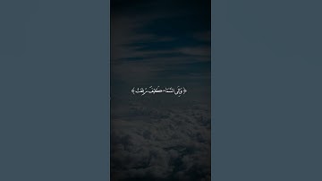 (أَفَلَا يَنظُرُونَ إِلَى الْإِبِلِ كَيْفَ خُلِقَتْ) سورة الغاشية
