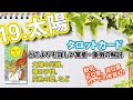 【🔰初心者向け】19.太陽/THE SUN(サン)徹底解説