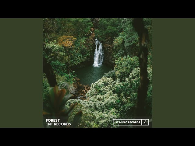邦楽 banbi sound forest sound forest - EP - BANBIのアルバム - Apple Music