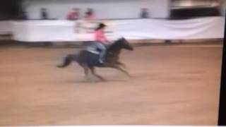 Perkn Cadillac Style