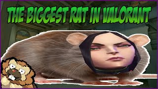 VIPER is the BIGGEST RAT in VALORANT