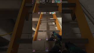 The Pocket Rocket. #csgo #cs2 #cs2clips #gaming #killstreak