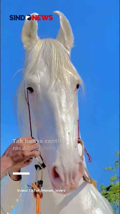 Porno video: Ota qizini aldayapti Super godaklar jinsiy aloqa