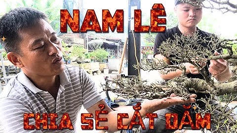Nghệ nhân Nam Lê chia sẻ cách làm dăm cây sanh | Bonsai Đất Cảng