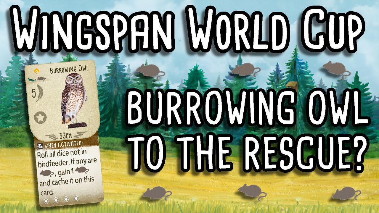 Burrowing Owl Wingspan Burrowing Owl Wingspan