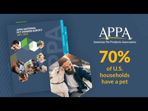 Videó: Felmérés: A kutya-tulajdonosok 49% -a ad együttesen kutyájukat