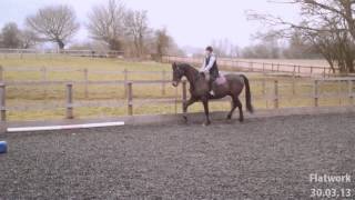 Storm- Flatwork | 30.03.13
