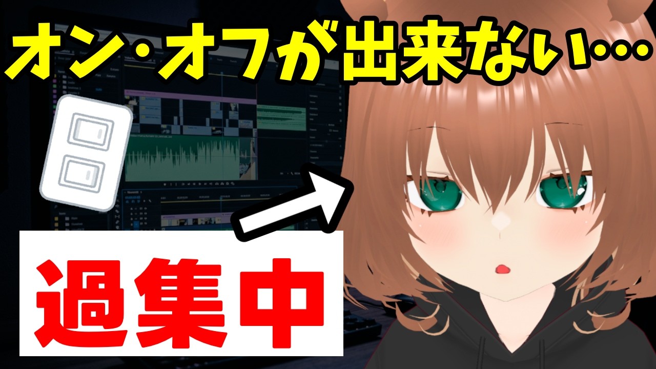 【過集中】体調崩すまでやめられない人間の日常対策【永レ星みーしゅ】