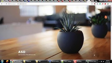 Wordpress Localhost All Problems Solved Video