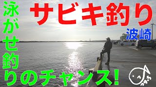 泳がせ釣りのチャンス！好調サビキ釣りな波崎 2019.10(2)