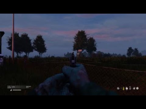 Иж 70 dayz