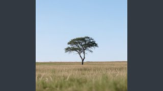 Another Lonely Story