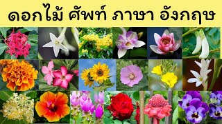 ดอกไม้ ศัพท์ ภาษา อังกฤษ Flowers - เรียน ภาษา อังกฤษ ออนไลน์ GetEng123