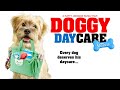 Doggy Daycare: The Movie (2015) | Full Movie | Derick Agyemang | Emma Almeida | Damiãn Garth Brown