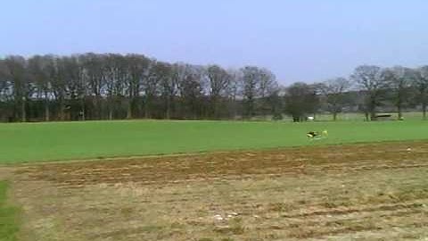 Align T-Rex 250 low inverted hover