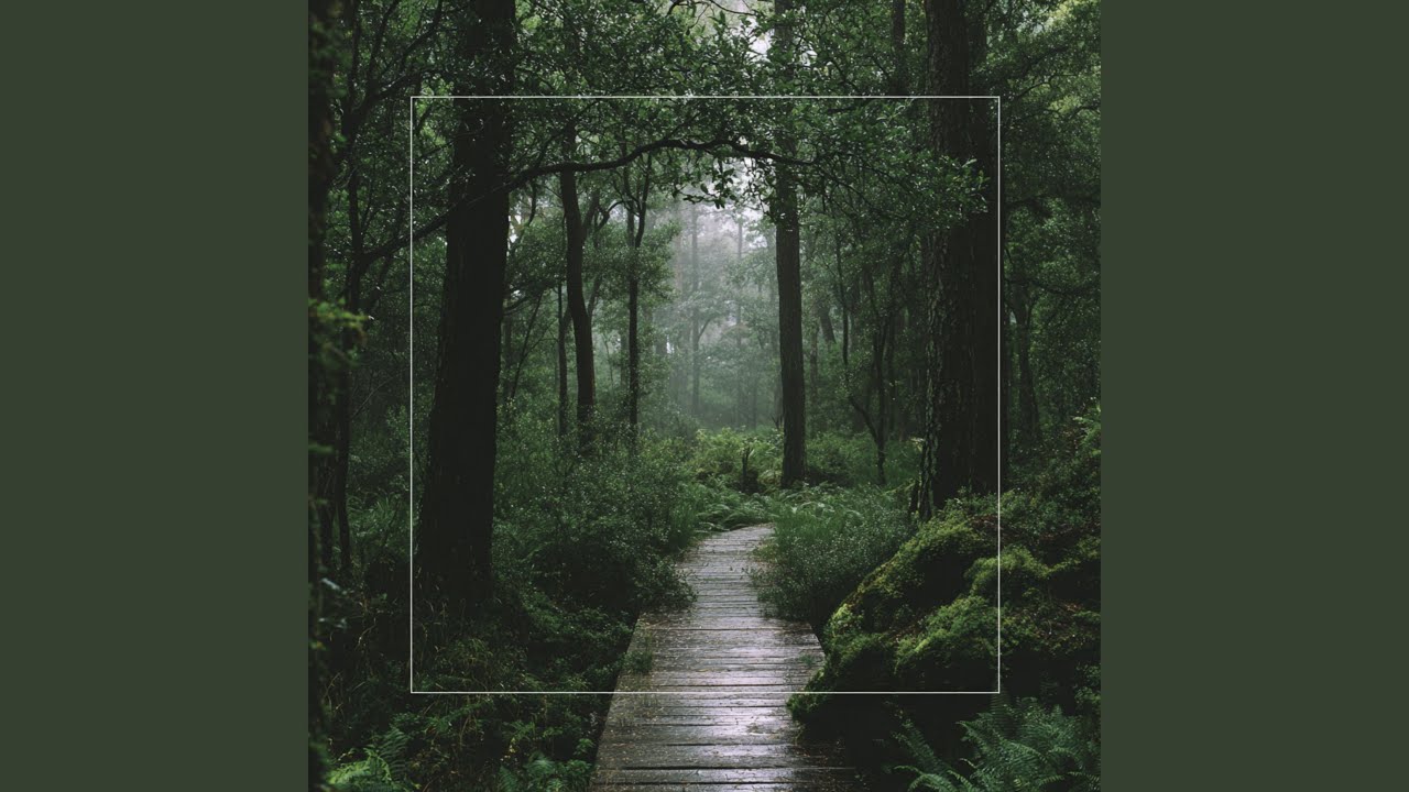 Walk Slow & Think Clear