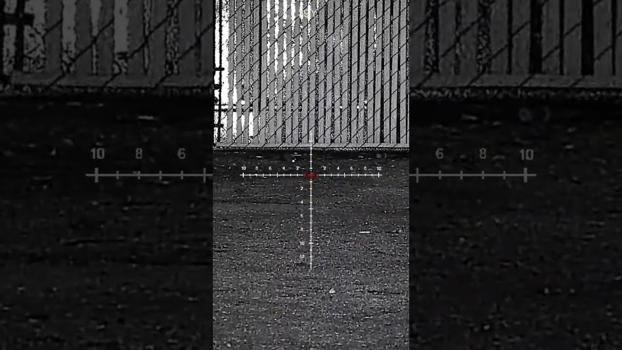 Monday morning rats! 