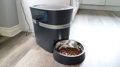 PetSafe Smart Feed Automatic Cat Feeder & Automatic Dog Feeder - 6L/24 Cup, Dry Food Dispenser,