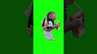 Monkey With Juice Box Meme | Green Screen
