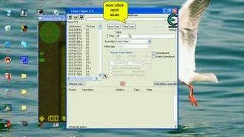 How to hack cs2d using cheat engine