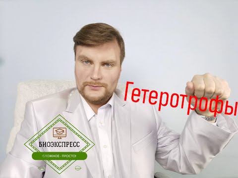 Video: Гетеротрофтор фотосинтезди колдонобу?