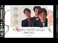 (EN/RO/JP) Y.M.O. - 過激な淑女 / Kageki Na Shukujo (Lyrics)