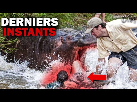 Vidéo: Ménès a-t-il été tué par un hippopotame ?