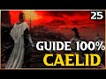 Le chteau de radahn et ses 3 boss  guide 100 caelid  elden ring guide dbutant fr