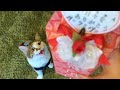 思い切って猫の骨壷を開けてみたら…【ムスビ4回目の命日】