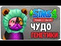 ЧУДО ГЕНЕТИКИ, САМАЯ СМЕШНАЯ КОШКА? - The Sims 4 "Кошки и Собаки"