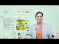 Ch 12 | Meta Books | English | Class 07 | The Last Bargain | For children