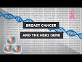 Evoed breast cancer and the her2 gene