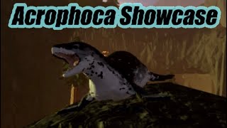 Acrophoca Showcase Dinosaur Simulator Roblox