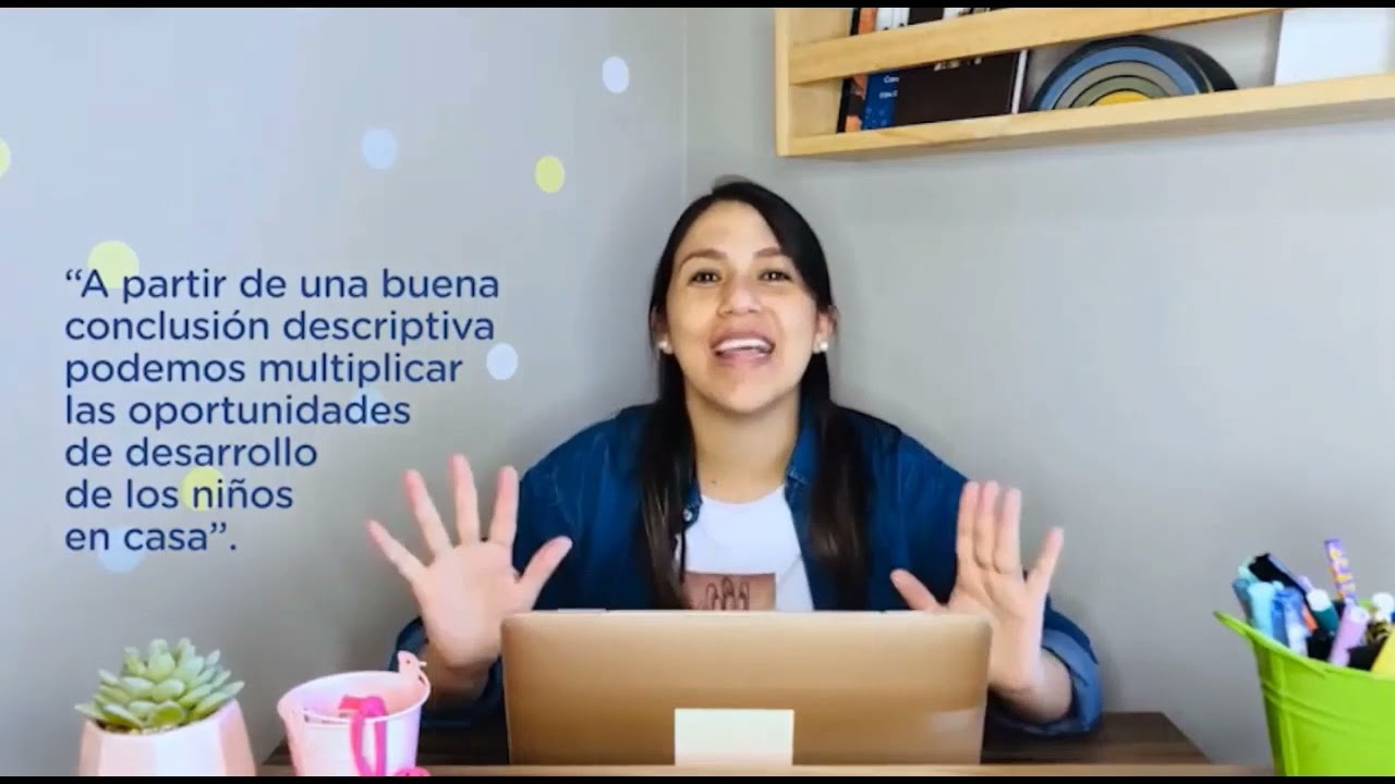 CONCLUSIONES DESCRIPTIVAS INICIAL 2021