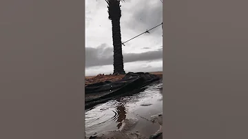 انساه وانسى ذكراه والقاه بحلامي 