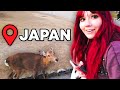 I Went to a Deer Park in Japan!