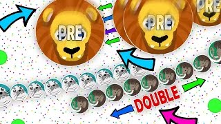 INSANE DOUBLE TRICK SPLIT 16X1 PRE SPLIT IN AGARIO