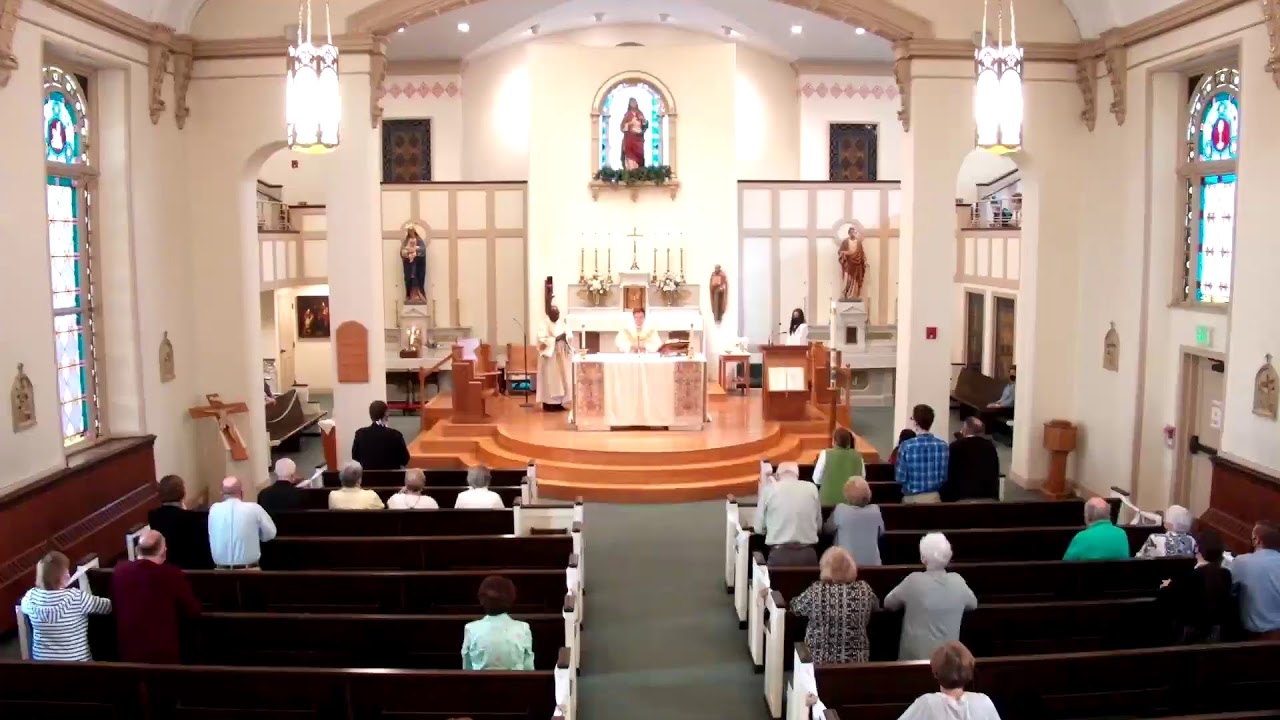 St. Paul Catholic Church Ellicott City Live Stream YouTube