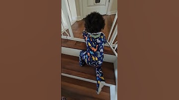 Toddler is a pro at stair climbing #shorts #toddler #toddleractivities #stairs