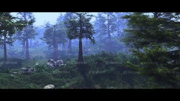 Houdini - Speedtree - Clarisse IFX Forest R&D