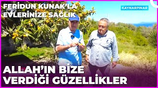 Bahçede Bütün Güzelliklerle Beraberiz | Dr.feridun Kunak'la Evlerinize Sağlık