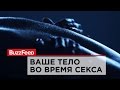 Ваше тело во время секса