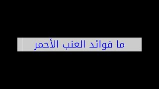 ما فوائد العنب الأحمر