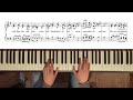 Jesu, meine Freude, BWV 227: 3. Unter deinem Schirmen (piano transcription)