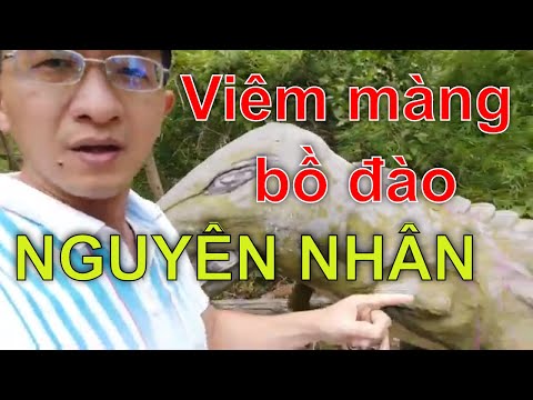 VLOG #59 : Nguyên nhân và phân loại viêm màng bồ đào - What causes Uveitis?