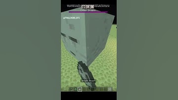 What if i spawning ghast in end ? | I spawning ghast in end |#shorts #minecraft #memes