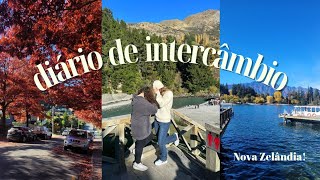 Diário de intercâmbio: Tour de 10 dias pela Nova Zelândia (pt.2)