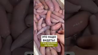 Мыло Турмелек & Коджиацид можно заказать на валдбериесАртикул - 364749065