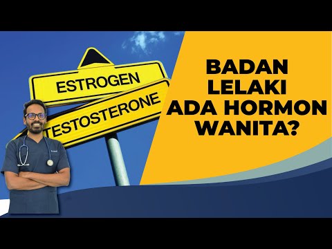 BADAN LELAKI ADA HORMON WANITA? APA KESANNYA?